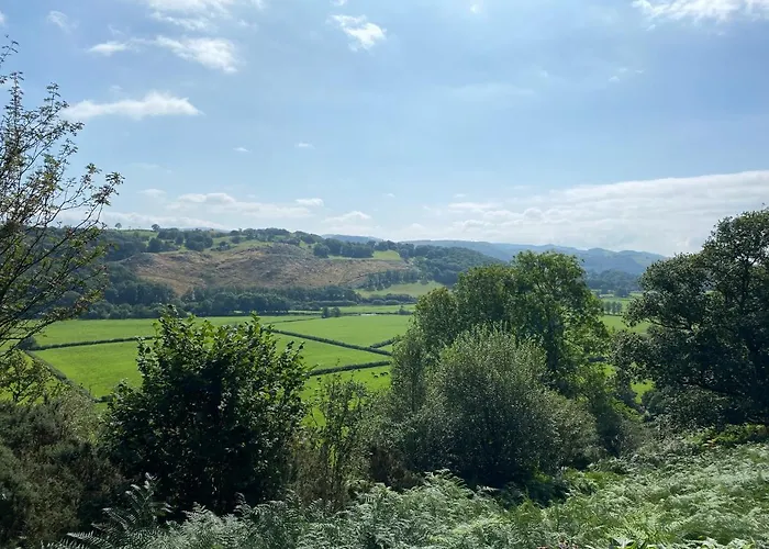 Hendre-Aur Glamping Pod