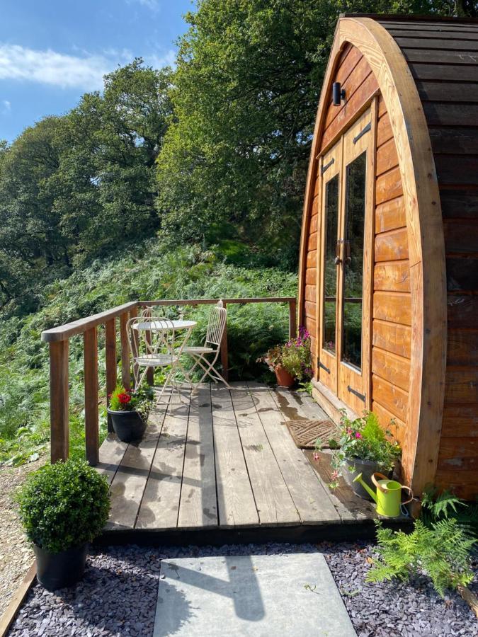 Hendre-aur Glamping Pod Machynlleth