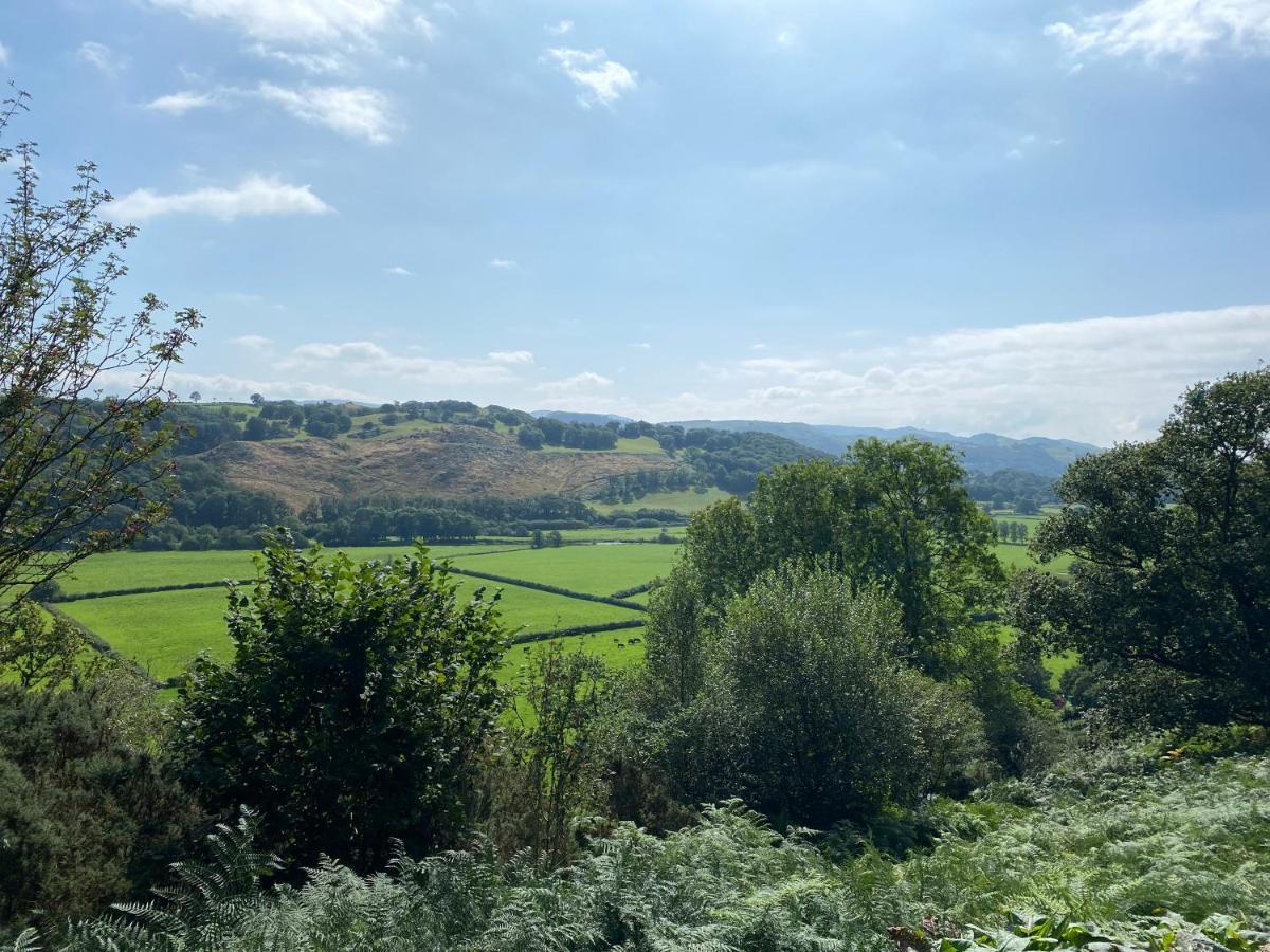 Hendre-aur Glamping Pod Machynlleth